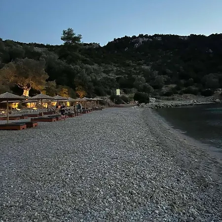 Vasiliki Palli *