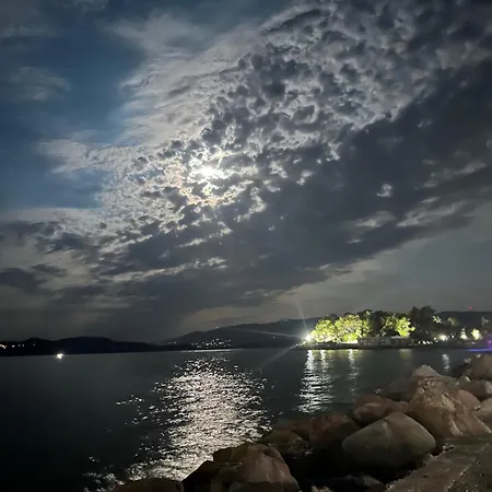 Vasiliki Palli