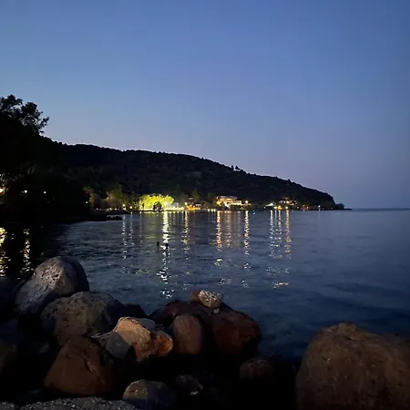 Vasiliki Palli *