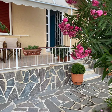 Vasiliki Palli *
